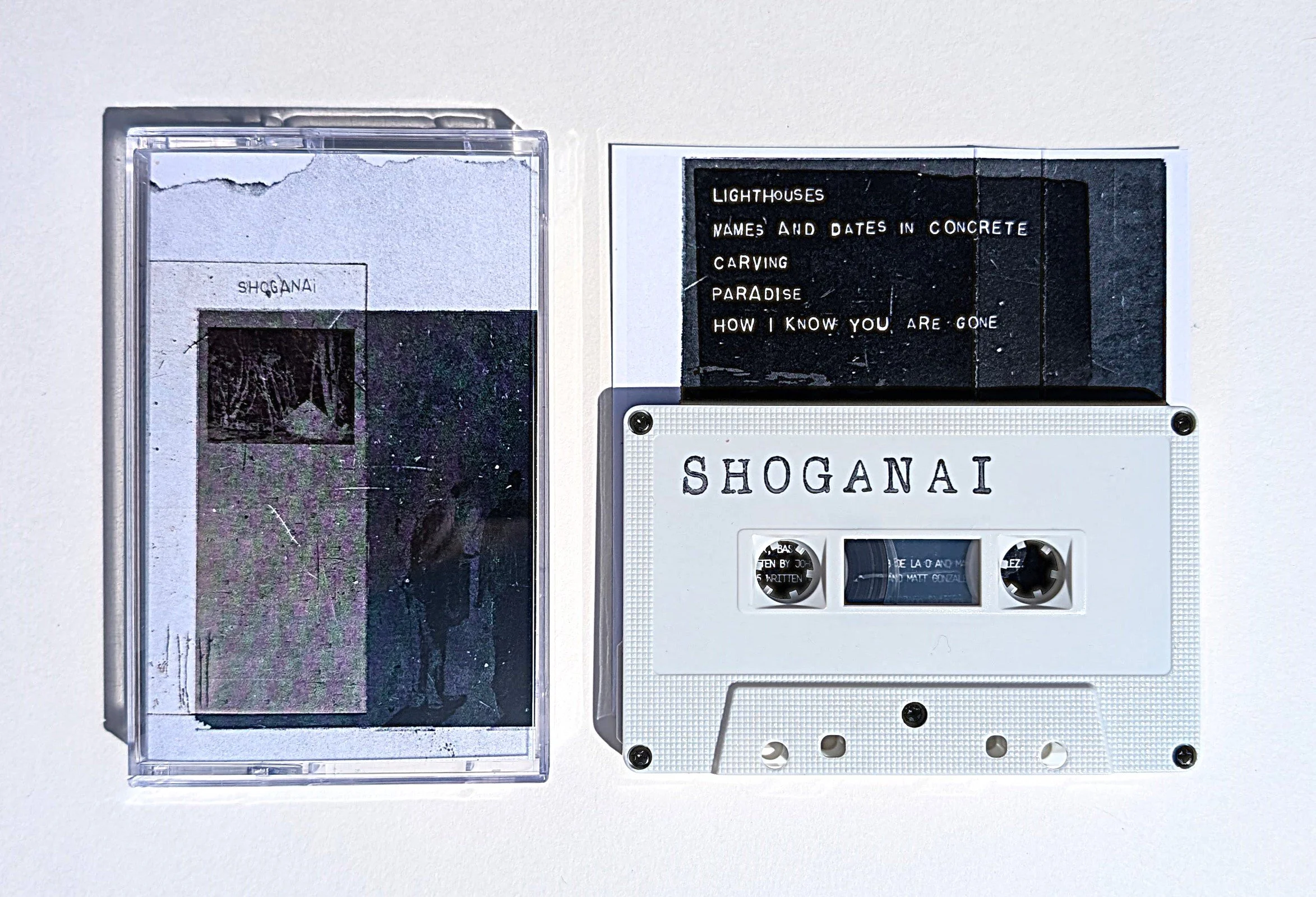 Zegema Beach Records